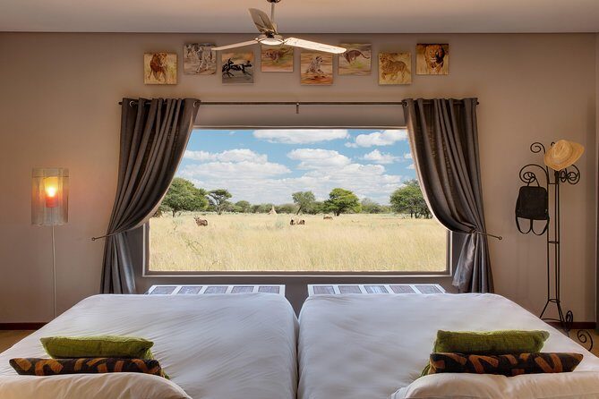Namibia Express Safari - 6 Days - Exploring Namibia in Six Days: What’s Included?
