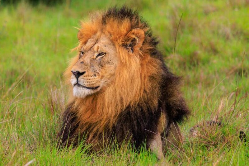 Namibia: Guided Immersive Safaris and Culture - The Sum Up: Is This Tour Worth It?