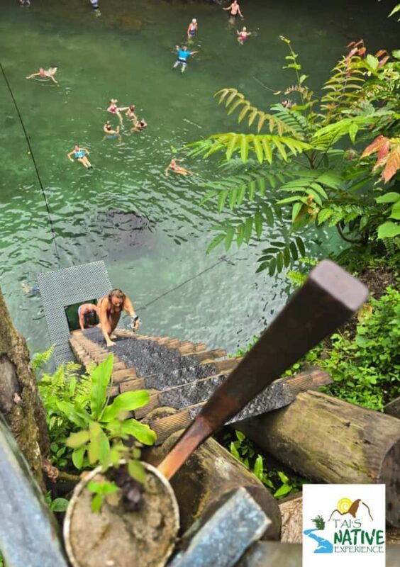 Namua Turtle Island Tour with Snorkeling - Who Will Love This Tour?