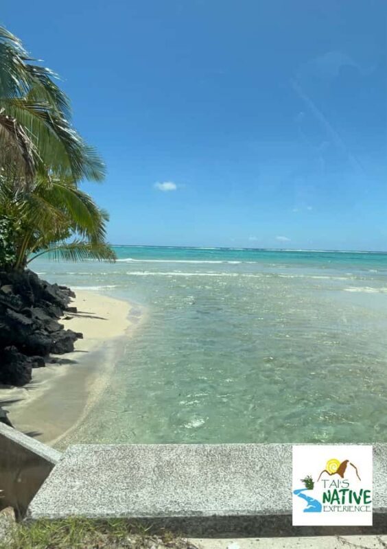 Namua Turtle Island Tour with Snorkeling - Starting Your Journey: Convenient Pickups and Timing