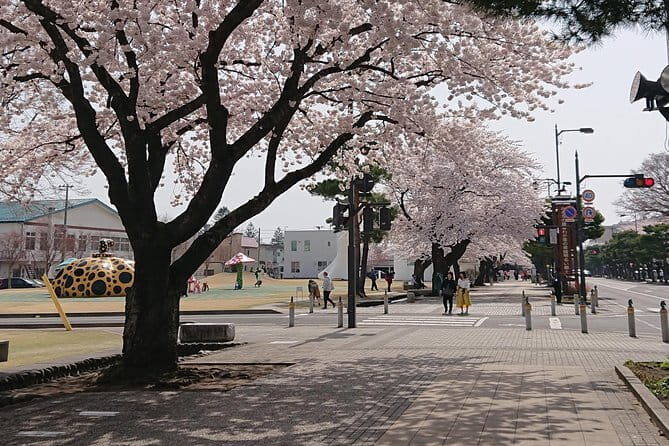 Nanbu Teodori Taught by the World's Top Master - Who Should Consider This Tour?