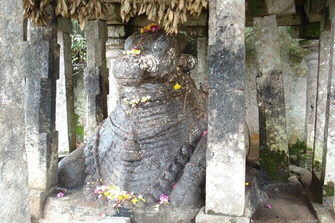Nandi Hills Day Trip from Bangalore - An In-Depth Look at the Nandi Hills Day Trip