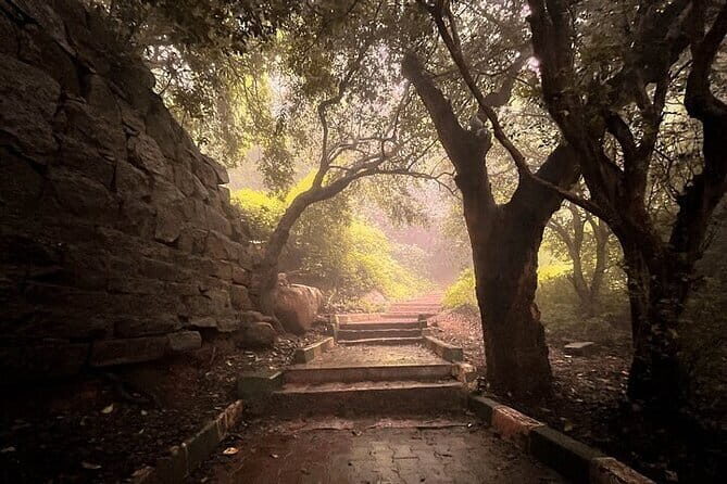 Nandi Trail Tour - Key Points