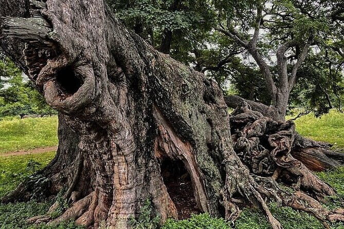 Nandi Trail Tour - Who Should Consider This Tour?