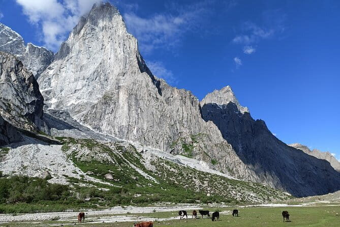 Nangma Valley Trek- The New Trending Place for Adventure lovers - A Deep Dive Into the Nangma Valley Trek Experience