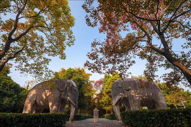 Nanjing Day Tour from Shanghai by Bullet Train - The Experience in Detail