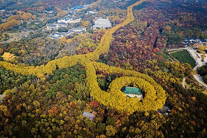 Nanjing Flexible Private Day Tour from Wuxi by Bullet Train - Authentic Insights from Past Participants