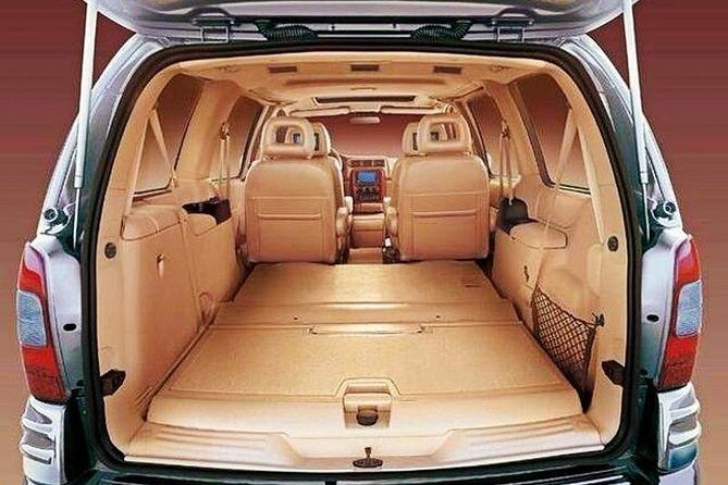 Nanjing Lukou International Airport Private Arrival Transfer to City Center - Authentic Insights from Reviews