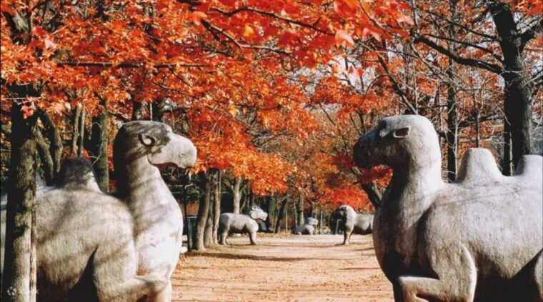 nanjing-private-customized-city-highlights-tour-with-lunch