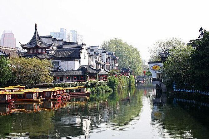 Nanjing Private Flexible Day Tour with Professional Guide and Driver Service - Overview of the Experience