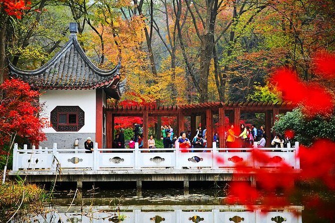 Nanjing Private Flexible Day Tour with Professional Guide and Driver Service - Who Will Enjoy This Tour?