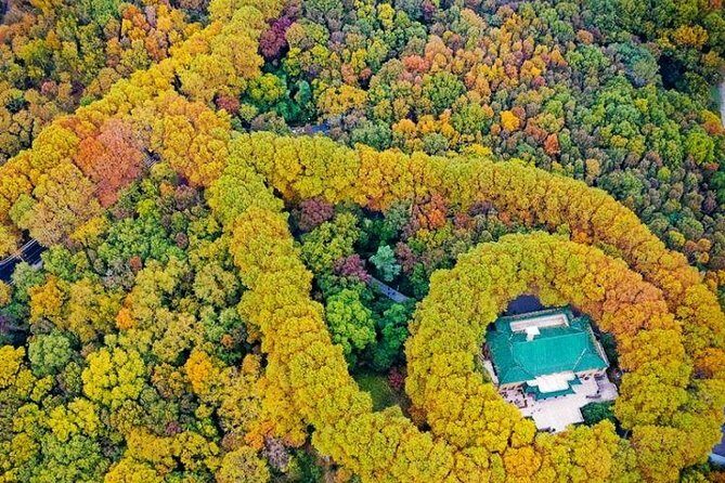 Nanjing Private Flexible Day Tour with Professional Guide and Driver Service - Final Thoughts