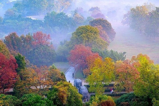 Nanjing Purple Mountain Private Tour with Tangshan Hot Spring Spa Experience - FAQ