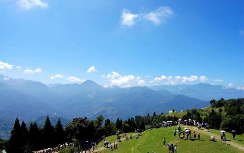 nantou-qingjing-farm-green-green-grassland-ticket-combos