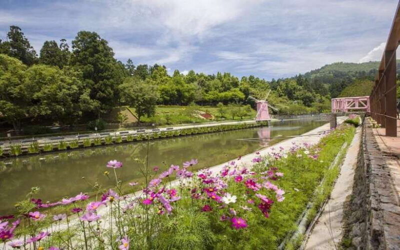 nantou-qingjing-farm-green-green-grassland-ticket-combos