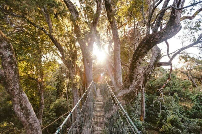 Nanyuki : Ngare Ndare Day Trip - Key Points