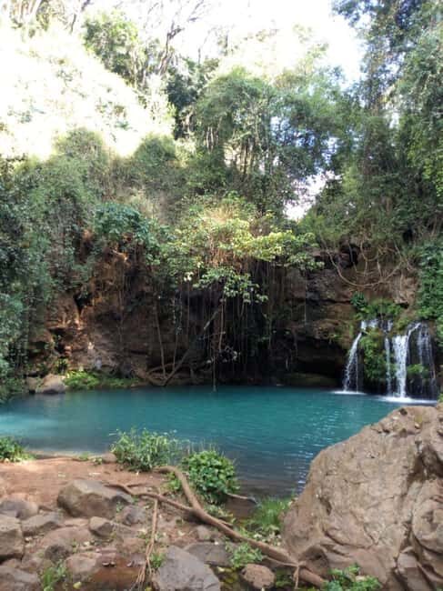Nanyuki : Ngare Ndare Day Trip - An In-Depth Look at the Ngare Ndare Day Trip