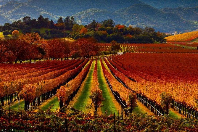 napa-and-sonoma-limo