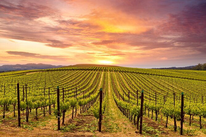 napa-or-sonoma-private-wine-tour-from-san-francisco