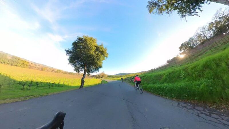 napa-sonoma-guided-tour-for-cycling-enthusiasts