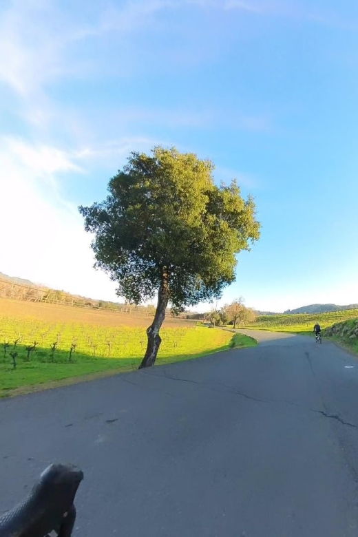napa-sonoma-guided-tour-for-cycling-enthusiasts