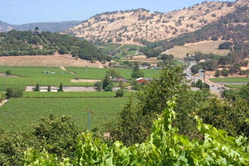 napa-valley-driver-guide-service-california-wine-country