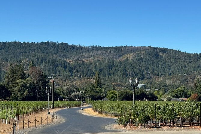 napa-valley-luxury-wine-tours-car-services