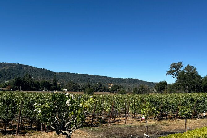 napa-valley-luxury-wine-tours-car-services