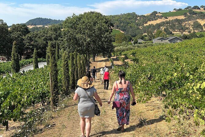 Napa Valley Mountainside Small Group Winery Tour - FAQ
