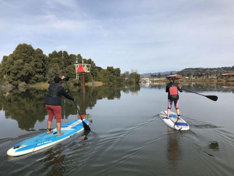 napa-valley-napa-river-stand-up-paddle-board-rental
