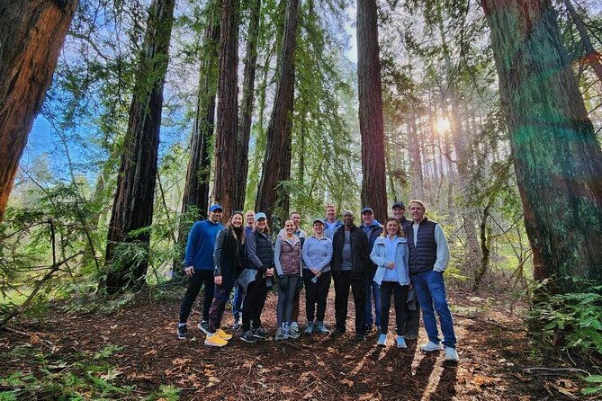 napa-valley-redwood-hike