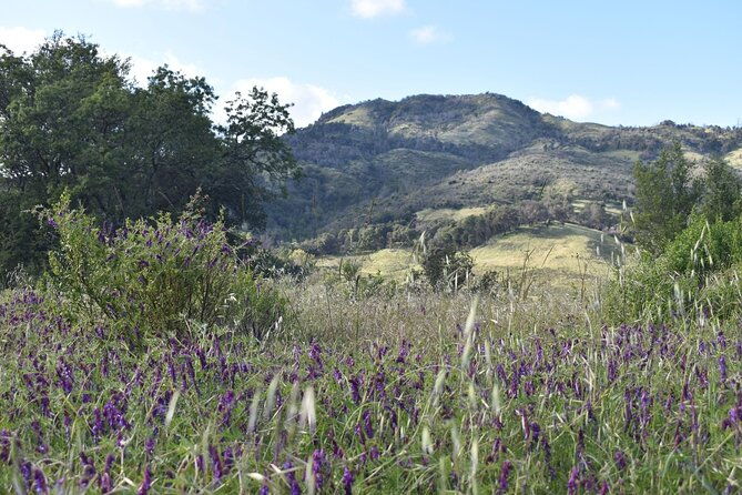napa-valley-self-guided-audio-driving-tour