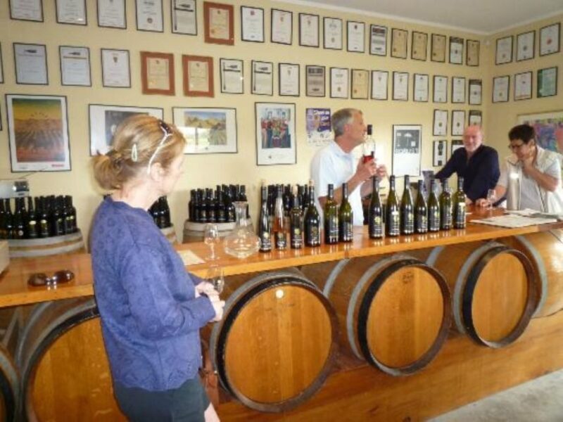 Napier: Afternoon Winery & Gin Tasting Tour Thu Fri Sat - A Closer Look at the Itinerary