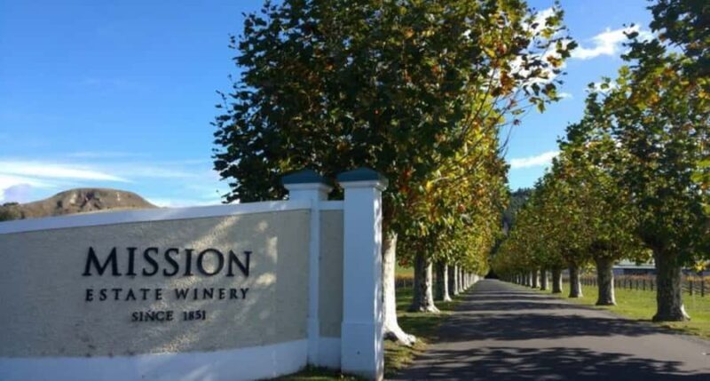 Napier: Afternoon Winery Tour Tasting at 3 Great Wineries - Final Thoughts: Is It For You?