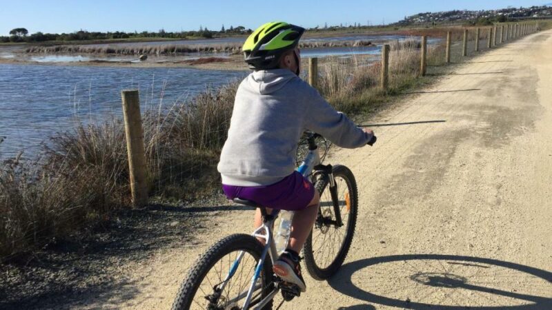 Napier: Art Deco Bike Ride and Wineries Loop - Scenic Coastal and Estuary Trails