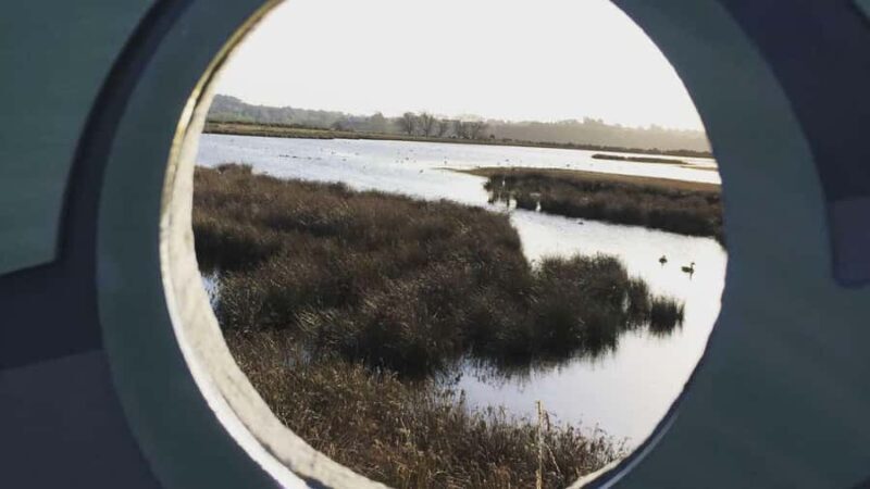 Napier: Art Deco Bike Ride and Wineries Loop - Post-Winery and Return