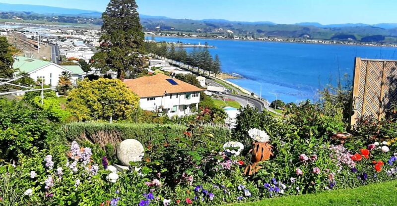 Napier: Art-Deco + Te Mata Peak+ Garden Walk + Wine Tasting - Practical Details and Logistics
