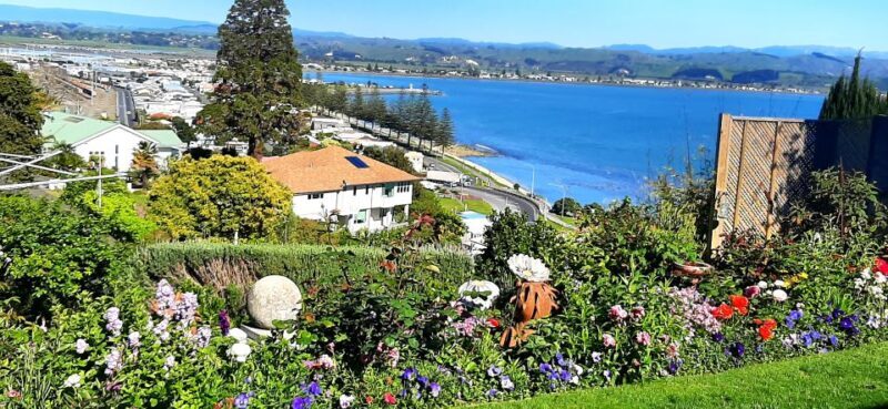 Napier: Art-Deco + Te Mata Peak+ Garden Walk + Wine Tasting - Final Words