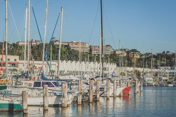 Napier Bike Hire - Considerations and Tips