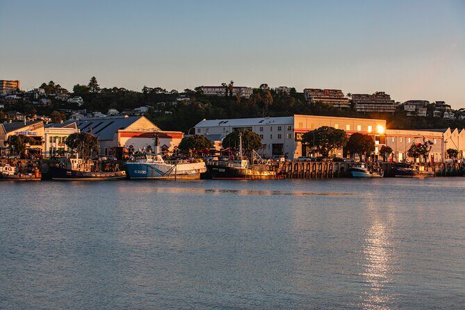 Napier Bike Hire - Who Will Love This Experience?