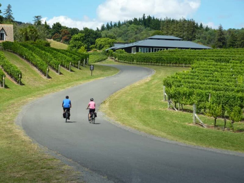 Napier: Cape Coast Winery Tour on E-Bikes - Key Points