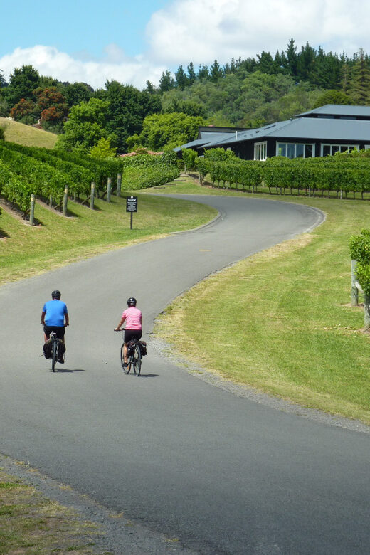 Napier: Cape Coast Winery Tour on Pedal or E-Bikes - What’s Included and What’s Not