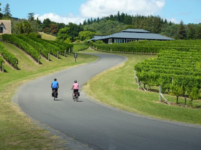 Napier: Cape Coast Winery Tour on Pedal or E-Bikes - The Final Stops and Return Journey