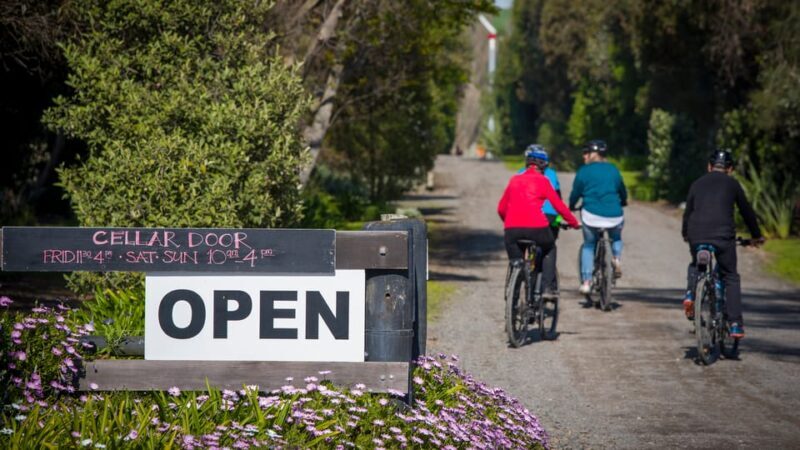 Napier: Cape Coast Winery Tour on Pedal or E-Bikes - Inclusions and Practicalities