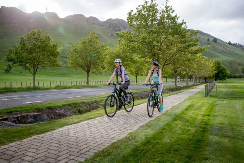 Napier: Cape Coast Winery Tour on Pedal or E-Bikes - Price and Value