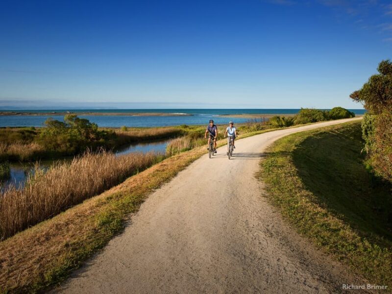 Napier: Cape Coast Winery Tour on Pedal or E-Bikes - Who Would Love This Tour?