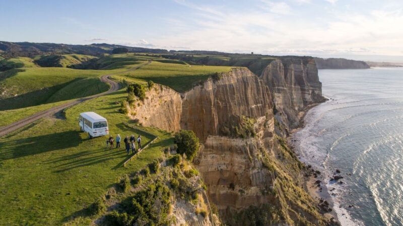Napier: Cape Kidnappers Gannet, Nature & Sightseeing Tour - Detailed Breakdown of the Tour