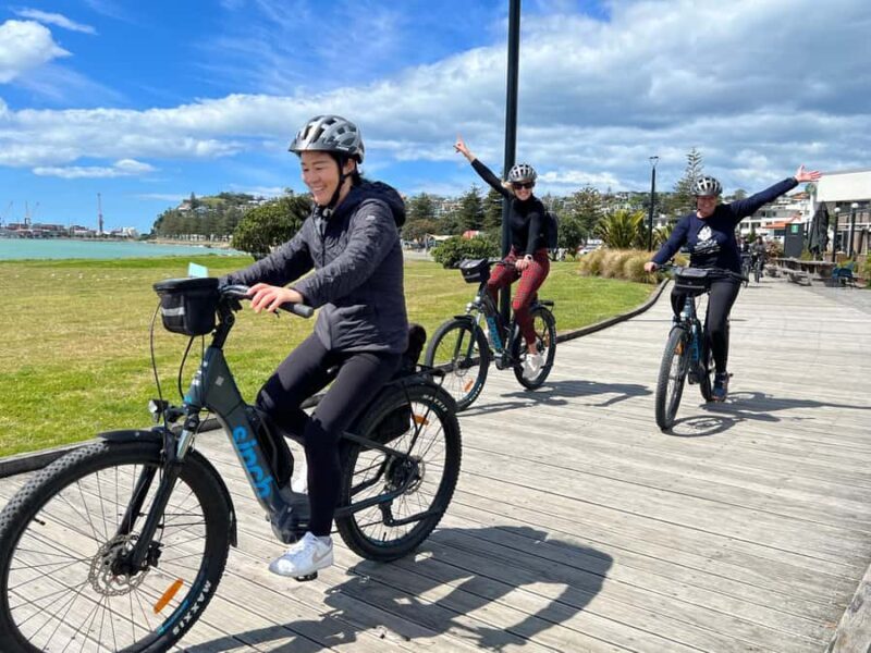 Napier: Cruise Self-Guided Cycle Ride to Winery - Half Day - The Experience for Different Types of Travelers
