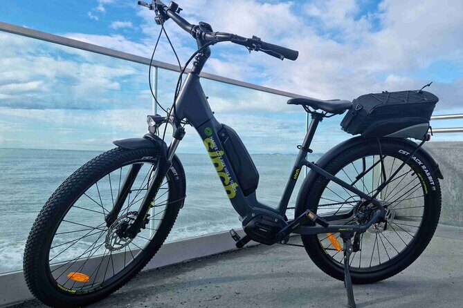 Napier E-bike Hire - The Sum Up
