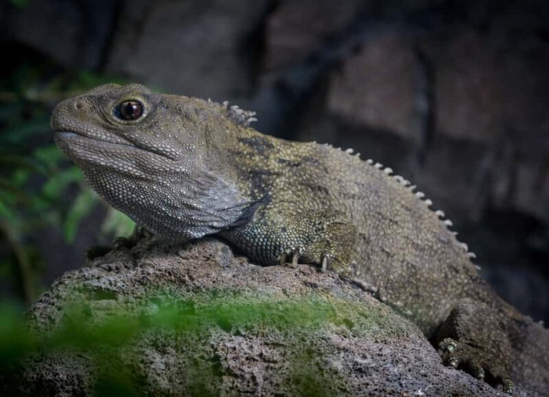 Napier: National Aquarium of New Zealand General Admission - Key Points
